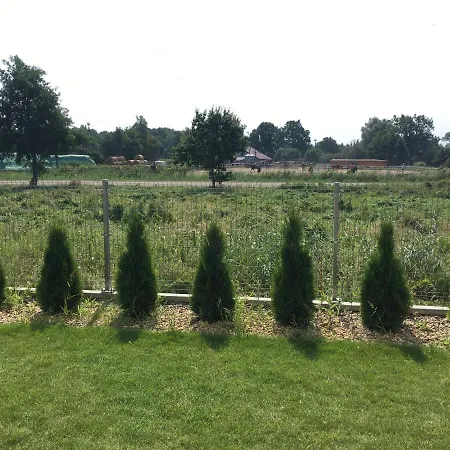 Faro מיצ'יצ'ניו